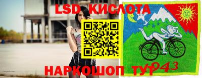 spice Нальчик
