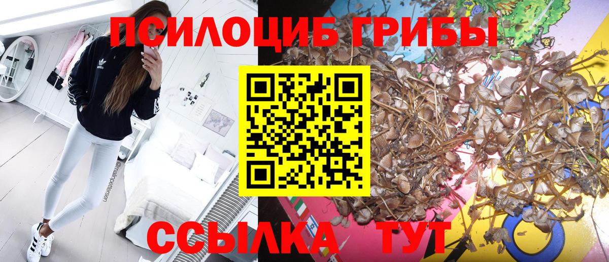 Галлюциногенные грибы ЛСД  Псилоцибиновые грибы мицелий  Улан-Удэ  Вход с VPN 