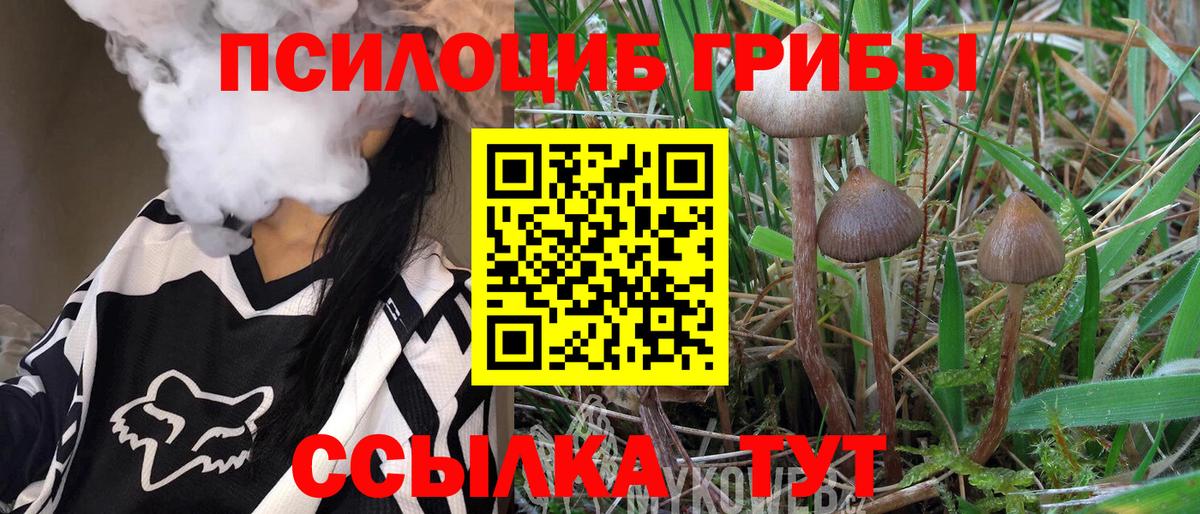 Псилоцибиновые грибы мицелий Улан-Удэ
